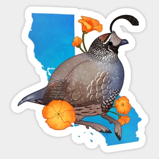 California Quail and Poppies Sticker